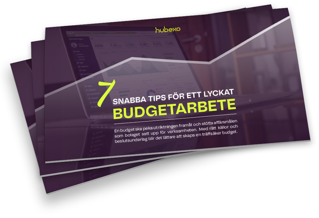 Budgetguiden2025-1